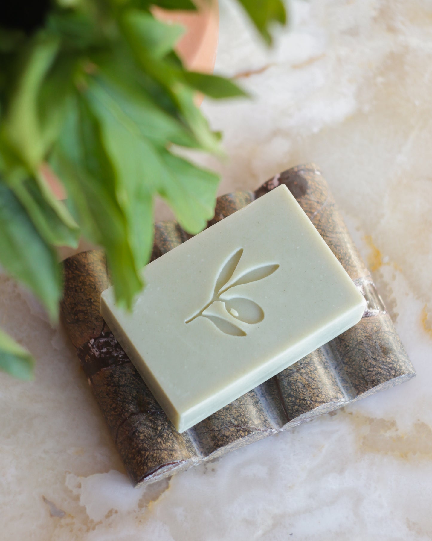 soap stamped with our olive branch stamp